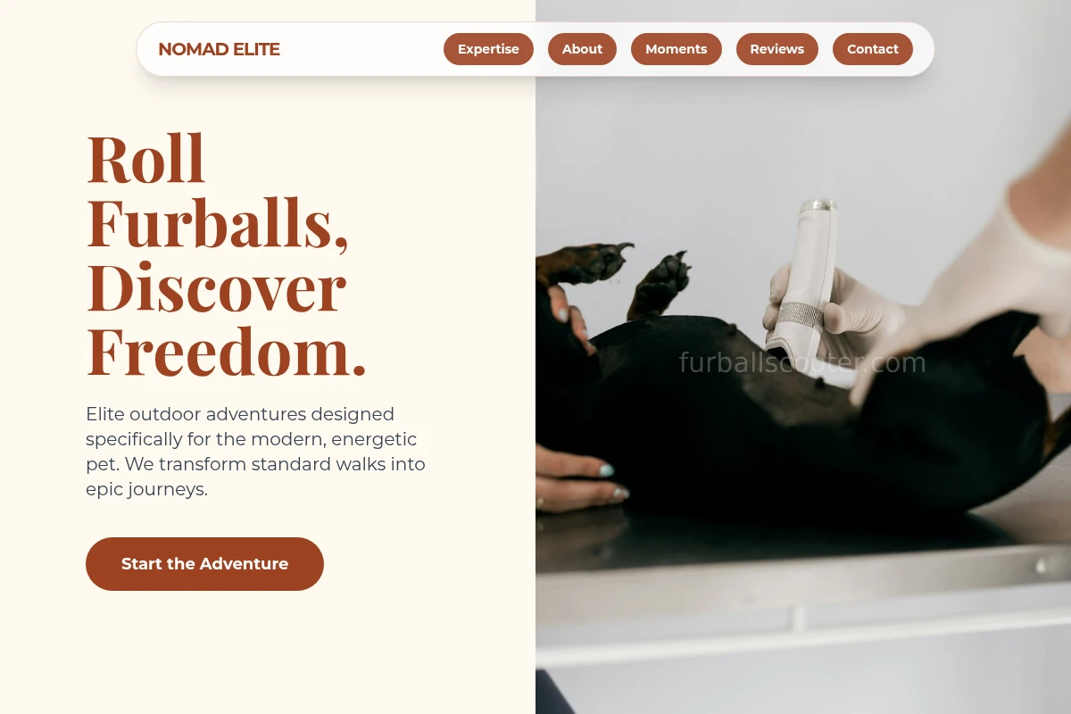 animal-care